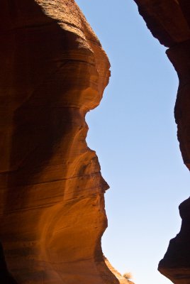 _DSC0716.jpg
