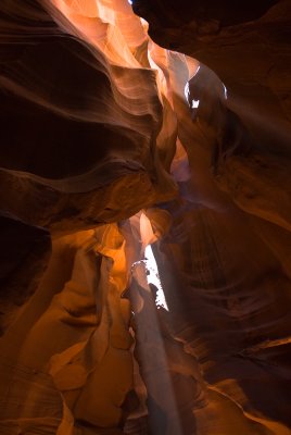 _DSC0728.jpg