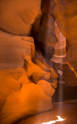 _DSC0733.jpg