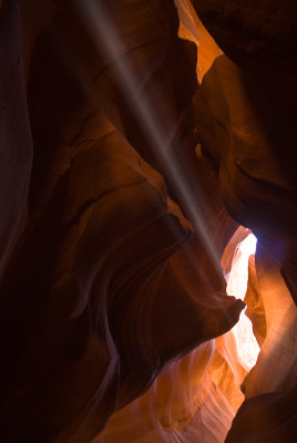 _DSC0737.jpg