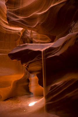 _DSC0742.jpg