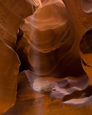 _DSC0744.jpg