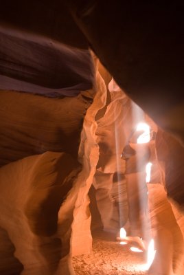 _DSC0775.jpg