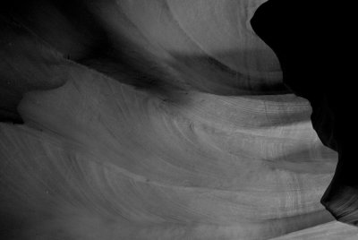 _DSC0825.jpg