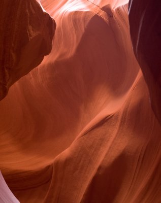 _DSC0847.jpg