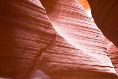 _DSC0853.jpg