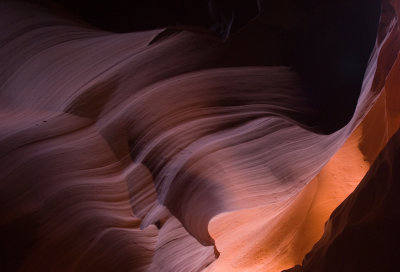 _DSC0855.jpg