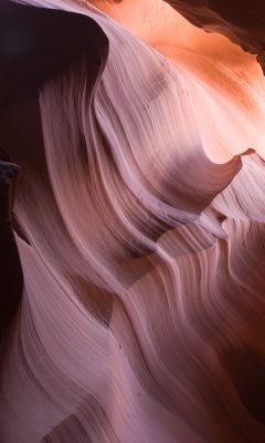_DSC0856.jpg