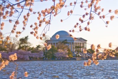 _DSC0154. Jefferson Memorial 2