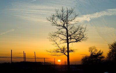 _DSC0031-Edit-Edit.jpg