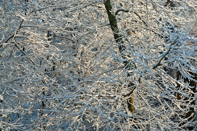 _DSC1479.