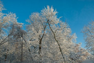 _DSC1490.