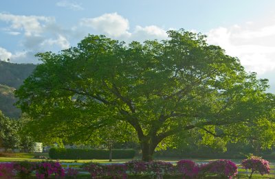 _DSC0013.