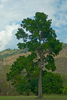 _DSC0129.
