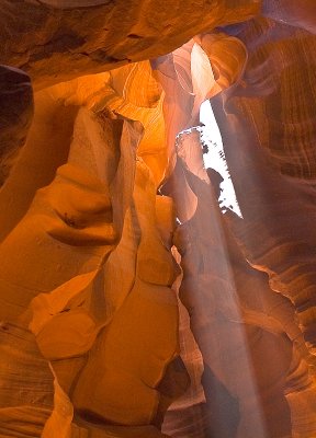 _DSC0728-3.