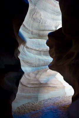 _DSC0798.