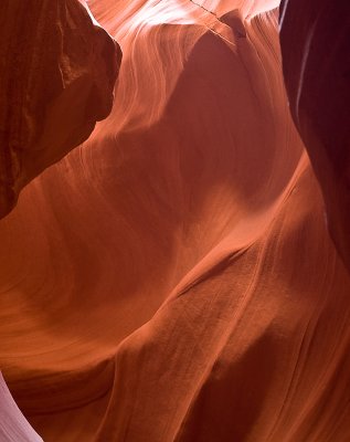 _DSC0847.