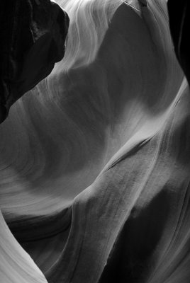 _DSC0848.