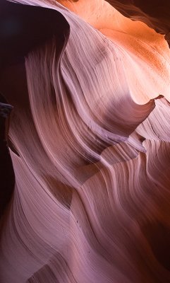 _DSC0856.
