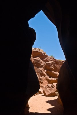 _DSC0866.