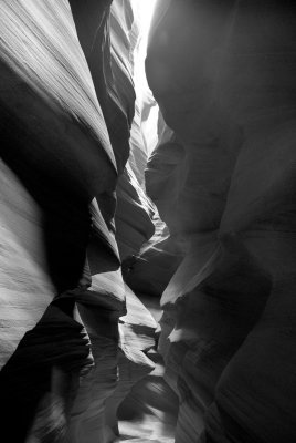 _DSC0894.
