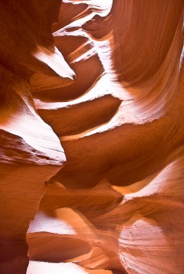 _DSC0901.