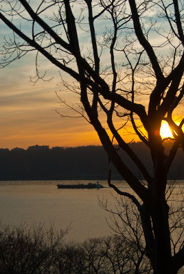 _DSC0036.