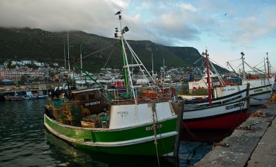 _DSC0158.jpg