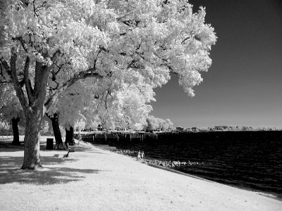 Bay side.jpg