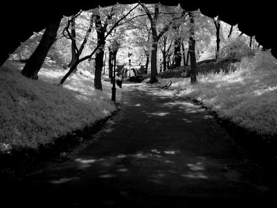 Central Park path.jpg