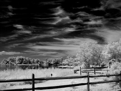 Eastern Shore Vista.jpg