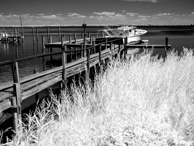 Fishing Boat Pier.jpg