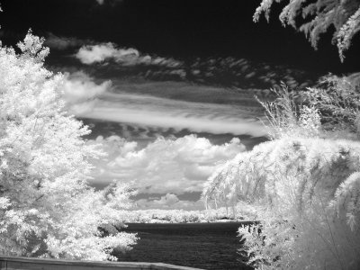 IR Overlook.jpg