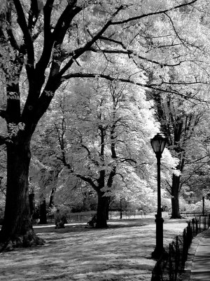 Park view.jpg