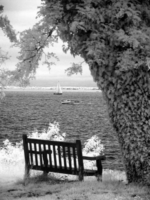 Retired-Bayshore.jpg