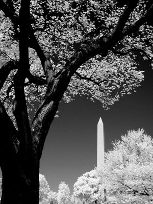 Washington Monument.jpg