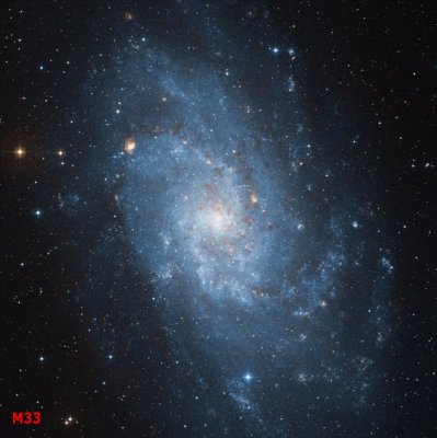 g3/43/840643/3/94972410.YXM0iun4.jpg