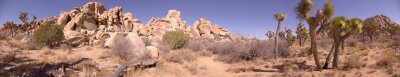 Joshua Tree Rocks.jpg