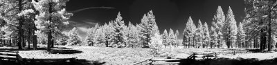 Lake Tahoe-IR-Pano.JPG