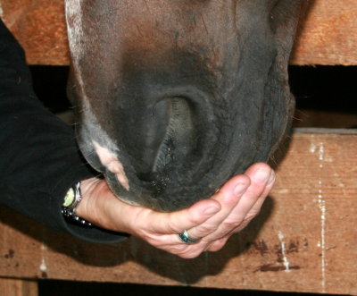 hand that feeds
