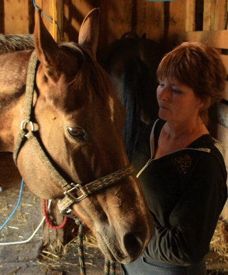 at the barn