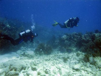 Divers