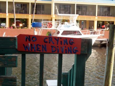Ocean Diver's dock