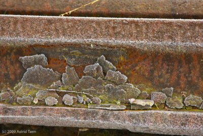 Frosted, rusted railroad rail