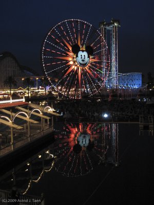 California Adventure Ferris Wheel