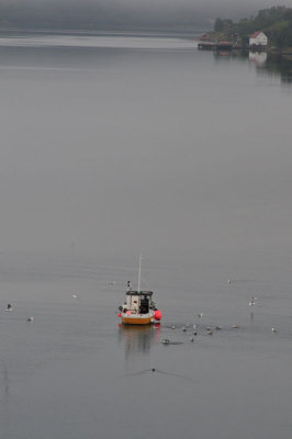 Fishing - Gratangsfjorden