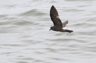 g3/43/88943/3/113378336.lO12f6f1.jpg
