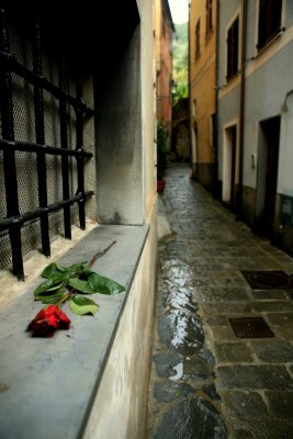 IMG_7839.JPG