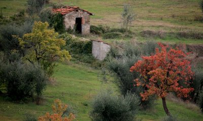 IMG_8320.JPG