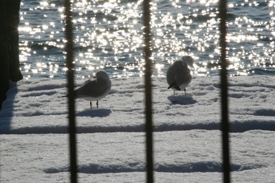 IMG_3715.JPG